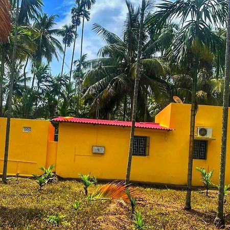 Shivalaya Farmstay Located Amdist Coconut Farm With River Access Near Isha,Adiyogi,Siruvani Alandurai Bagian luar foto