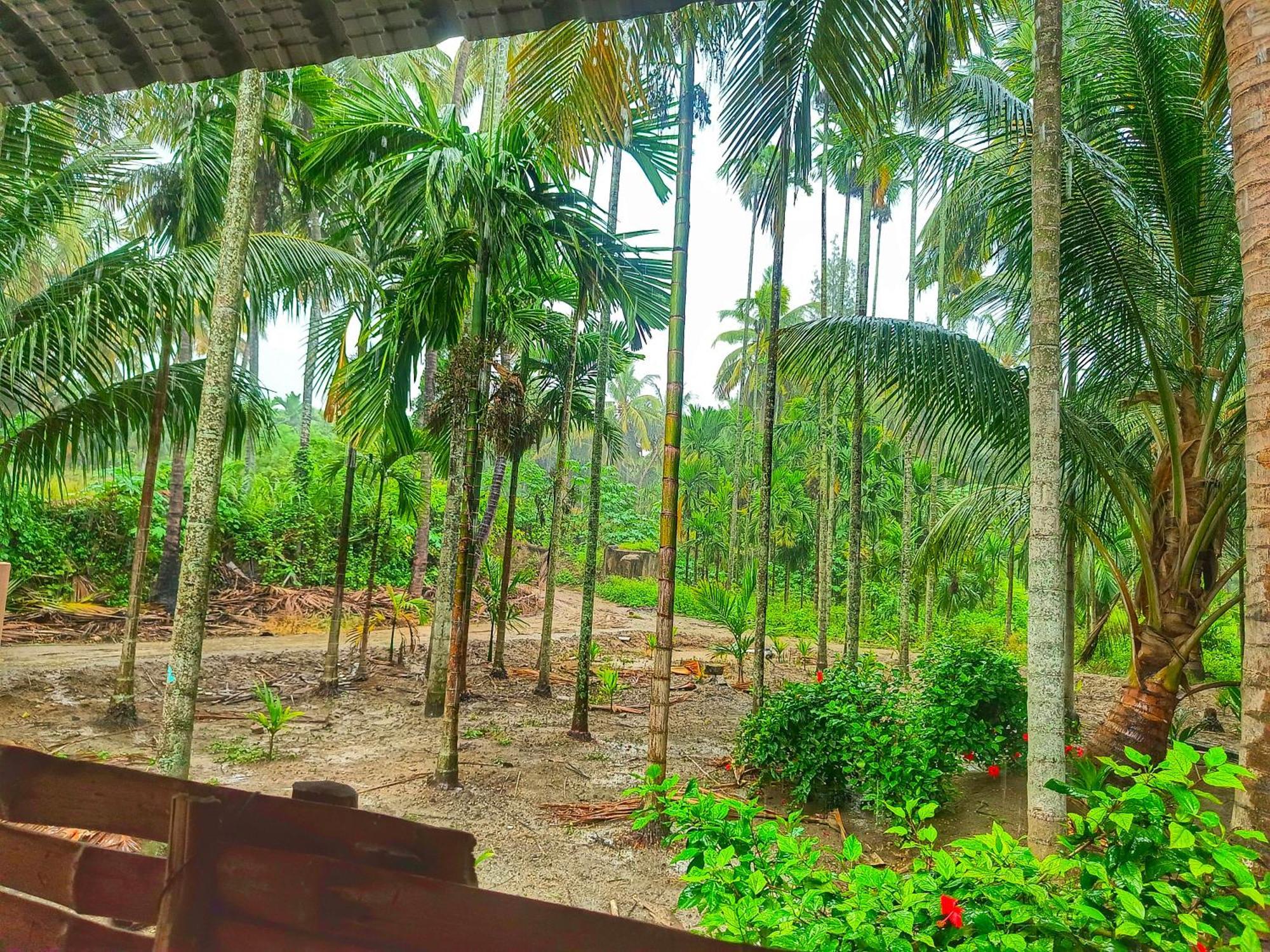 Shivalaya Farmstay Located Amdist Coconut Farm With River Access Near Isha,Adiyogi,Siruvani Alandurai Bagian luar foto
