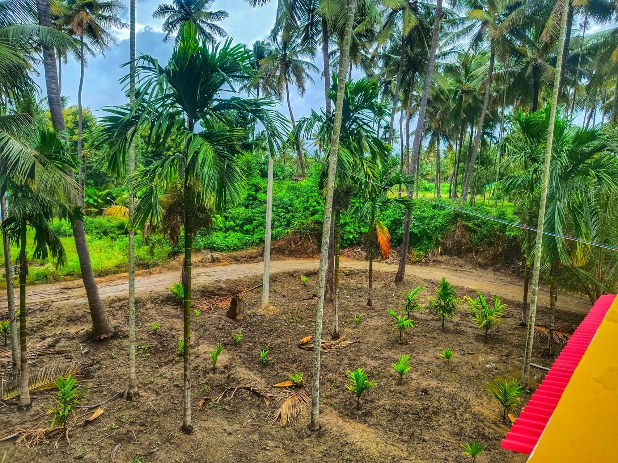 Shivalaya Farmstay Located Amdist Coconut Farm With River Access Near Isha,Adiyogi,Siruvani Alandurai Bagian luar foto