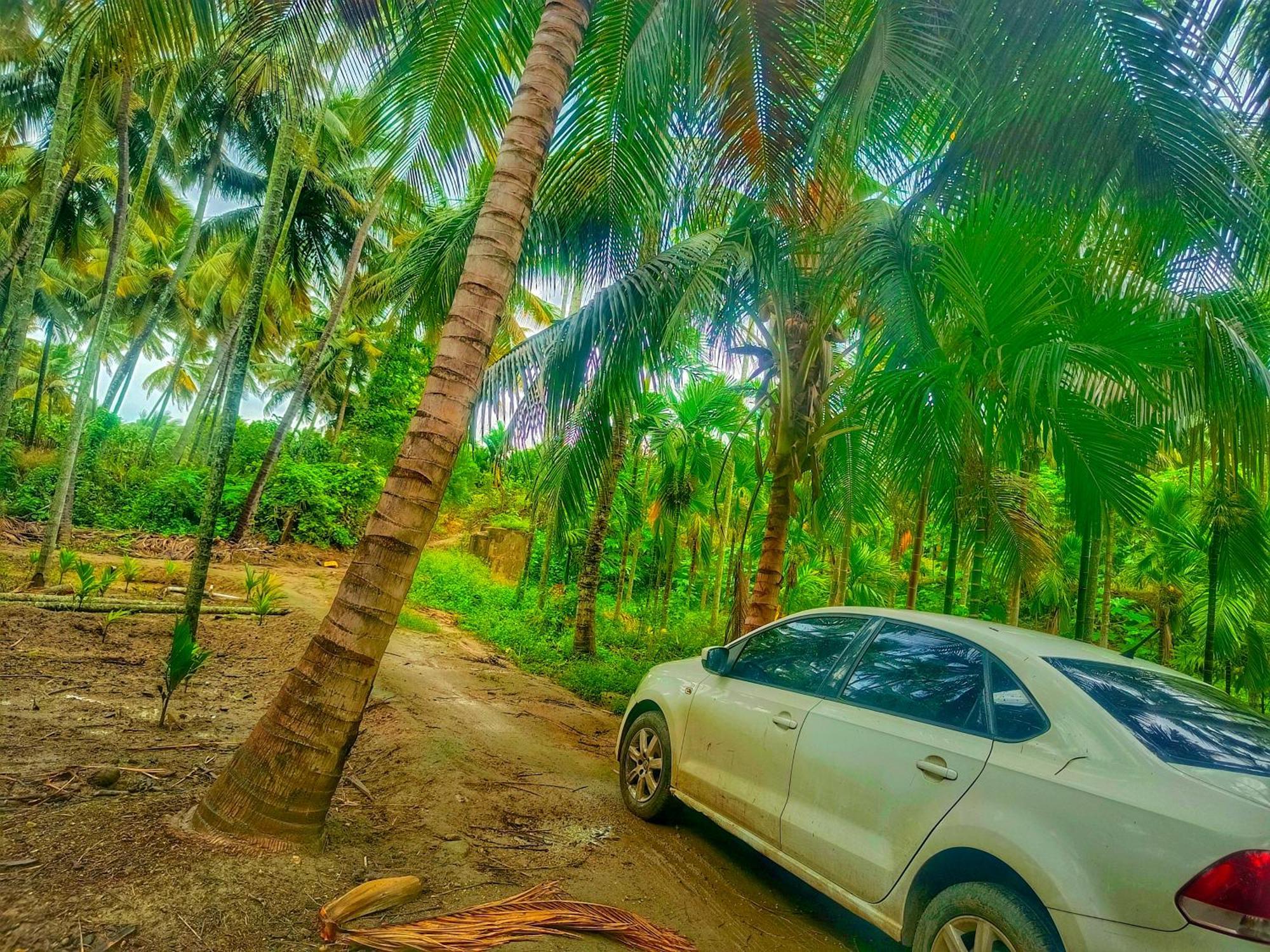 Shivalaya Farmstay Located Amdist Coconut Farm With River Access Near Isha,Adiyogi,Siruvani Alandurai Bagian luar foto